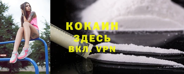 мяу мяу мука Абаза