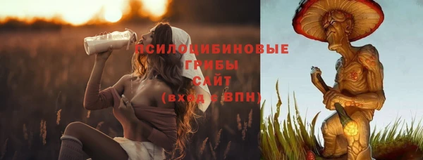 МДПВ Алексин