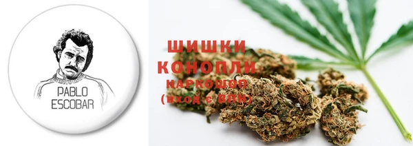 мяу мяу мука Абаза