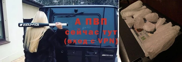 мяу мяу мука Абаза