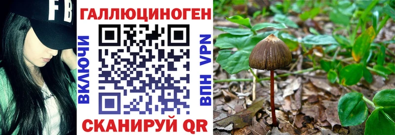 закладки  Таштагол  hydra вход  Псилоцибиновые грибы MAGIC MUSHROOMS 