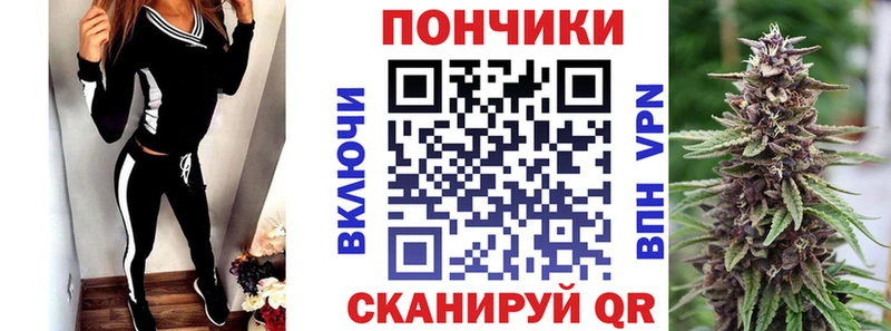 Каннабис план  сколько стоит  Таштагол 